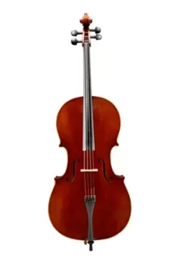 Eastman VC701 Rudoulf Doetsch Series Advanced Cello Outfit 4/4