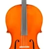Eastman VC906 Master Series Professional Cello Outfit 4/4