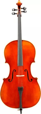 Eastman VC703 Frederich Wyss Series Professional Cello Outfit 4/4