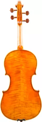 Orchestral Oasis shop -Orchestral Oasis shop L88413000001000 IMAGE 01