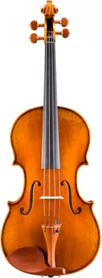 Eastman VA928 Raul Emiliani Series Professional Viola Outfit 16.5 In.