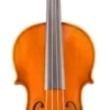 Eastman VA702 Series Professional Viola Outfit 16 In. -Orchestral Oasis shop L88415000001000 IMAGE 00