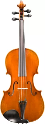 Eastman VA702 Series Professional Viola Outfit 16 In. 3 Eastman VA702 Series Professional Viola Outfit 16 In.