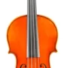 Eastman VA703 Frederich Wyss Series Professional Viola Outfit 16.5 In. -Orchestral Oasis shop L88416000001000 IMAGE 00