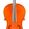 Eastman VC140 Ivan Dunov Prelude Series Student Cello Outfit 4/4