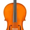 Eastman VC200 Andreas Eastman Series Step-Up Cello Outfit 4/4 -Orchestral Oasis shop L88418000001000 IMAGE 00