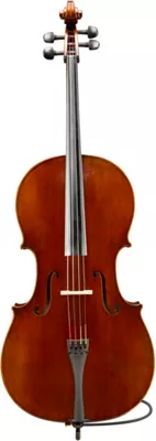 Eastman VC701EA Rudoulf Doetsch Series+ Professional Cello Outfit 4/4