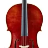Nicolo Gabriele 182F Concert Model Cello 4/4 -Orchestral Oasis shop L90797000001000 IMAGE 00