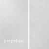 Pirastro Perpetual Series Violin E String 4/4 Size, Medium Platinum E, 26 Gauge, Ball End -Orchestral Oasis shop L93346000001001 IMAGE 00