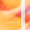 Pirastro Perpetual Series Double Bass G String 3/4 Size, Medium -Orchestral Oasis shop L93359000001000 IMAGE 00