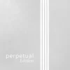 Pirastro Perpetual Edition Cello C String 4/4 Size, Medium Tungsten, Ball End -Orchestral Oasis shop L93363000001001 IMAGE 00