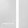 Pirastro Perpetual Series Violin D String 4/4 Size Silver Wound, Medium Gauge, Ball End -Orchestral Oasis shop L93384000001001 IMAGE 00