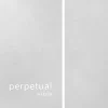 Pirastro Perpetual Series Viola A String 16+ In., Medium Chrome, Ball End