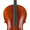 Scherl And Roth SR65 Sarabande Series Intermediate Cello Outfit 4/4