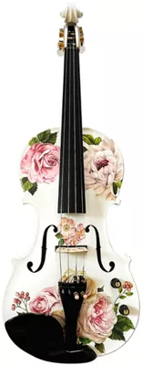 Rozanna's Violins Rose Delight Electro Acoustic Series Violin Outfit 4/4