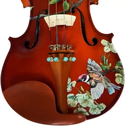 Rozanna's Violins Bird Song Series Violin Outfit 4/4 -Orchestral Oasis shop M01559000001000 IMAGE 03