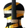 Rozanna's Violins Love Wrap Violin Outfit 4/4