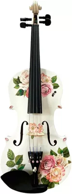 Rozanna's Violins Rose Delight Violin Outfit With Carbon Fiber Bow