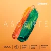 D'Addario Ascente Series Viola G String 16+ In., Medium 1 D'Addario Ascente Series Viola G String 16+ In., Medium -Orchestral Oasis shop M03479000001000 IMAGE 00